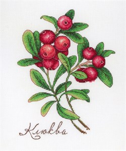 Набор для вышивания "Дары природы. Клюква" - фото 25614