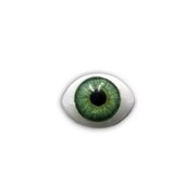 Глаза для кукол зеленые,12.5x8.5 мм, 2 шт