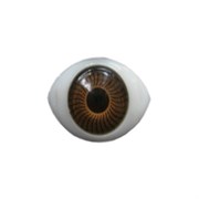Глаза для кукол карие, 15x11 мм, 2 шт